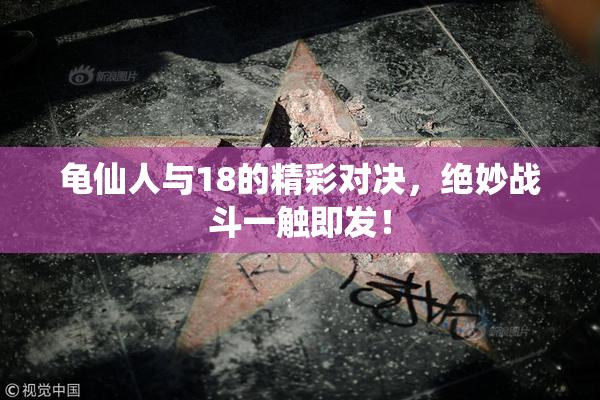 龟仙人与18的精彩对决，绝妙战斗一触即发！