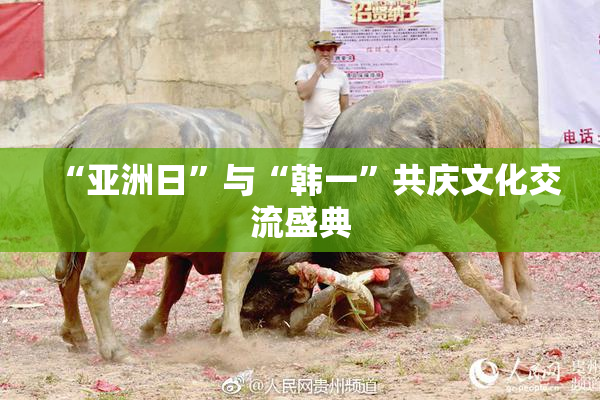 “亚洲日”与“韩一”共庆文化交流盛典
