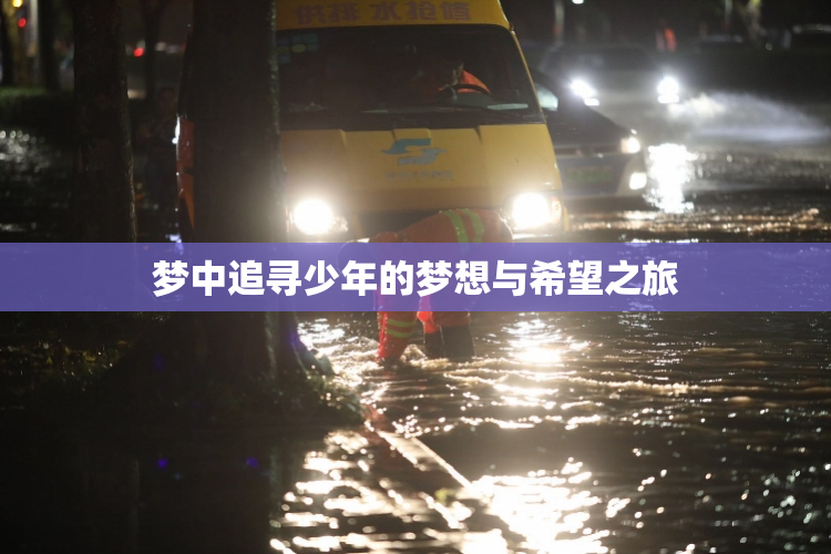 梦中追寻少年的梦想与希望之旅