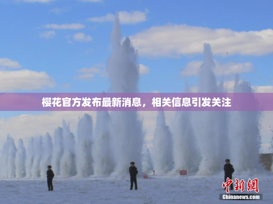 樱花官方发布最新消息，相关信息引发关注