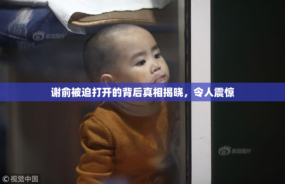谢俞被迫打开的背后真相揭晓，令人震惊