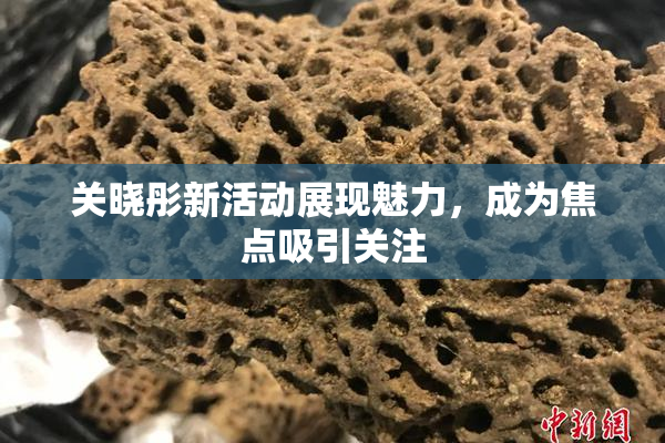 关晓彤新活动展现魅力，成为焦点吸引关注