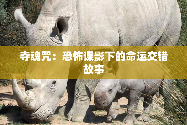 夺魂咒：恐怖谍影下的命运交错故事