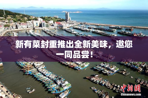 新有菜封重推出全新美味，邀您一同品尝！