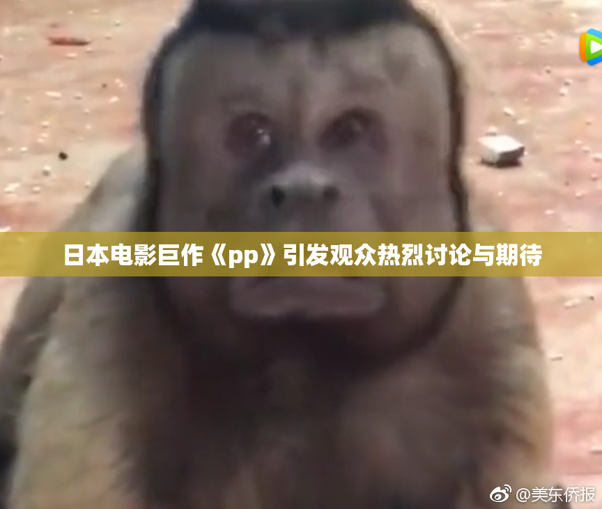 日本电影巨作《pp》引发观众热烈讨论与期待