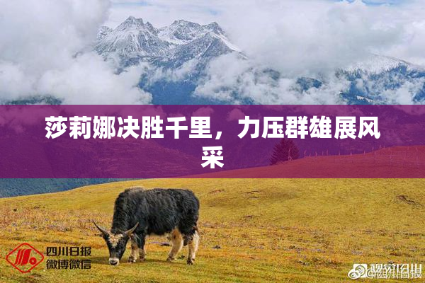 莎莉娜决胜千里，力压群雄展风采