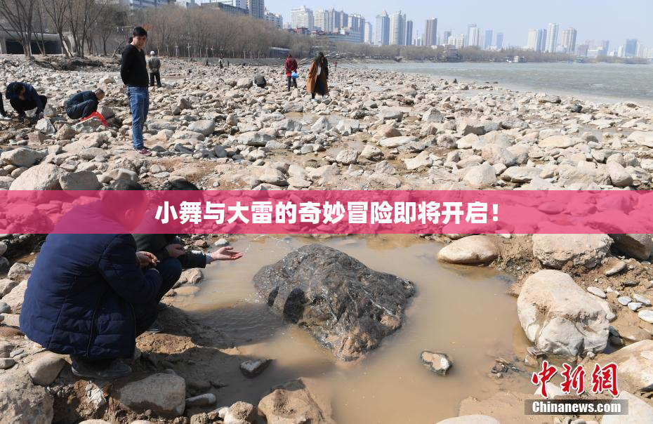 小舞与大雷的奇妙冒险即将开启！