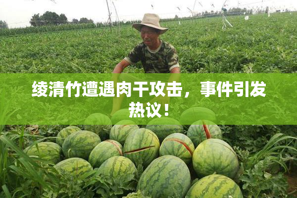 绫清竹遭遇肉干攻击，事件引发热议！