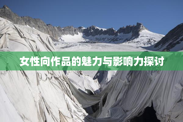 女性向作品的魅力与影响力探讨