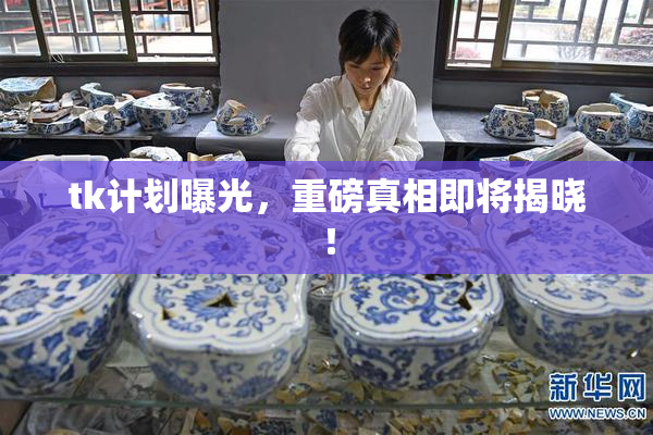 tk计划曝光，重磅真相即将揭晓！