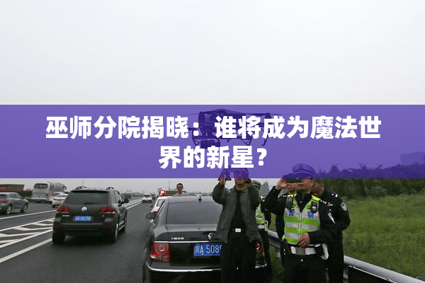 巫师分院揭晓：谁将成为魔法世界的新星？