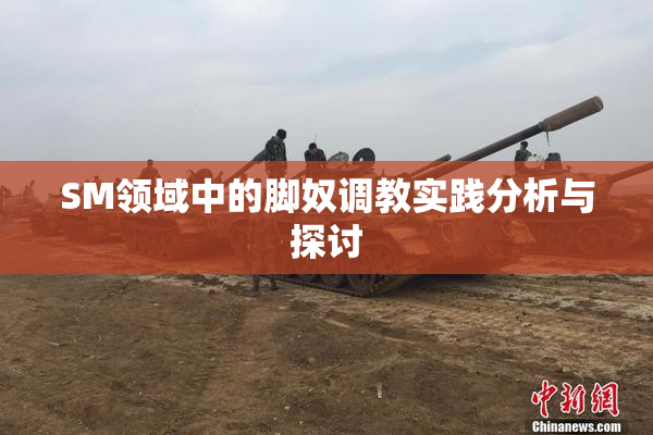 SM领域中的脚奴调教实践分析与探讨