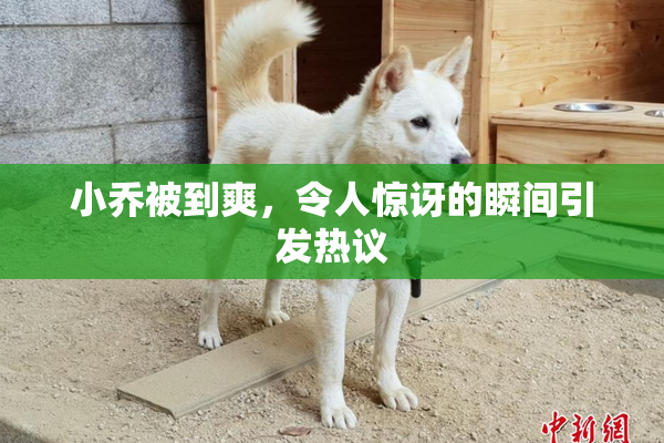 小乔被到爽，令人惊讶的瞬间引发热议