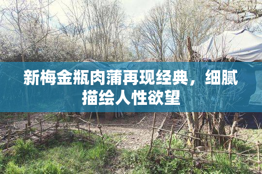 新梅金瓶肉蒲再现经典，细腻描绘人性欲望