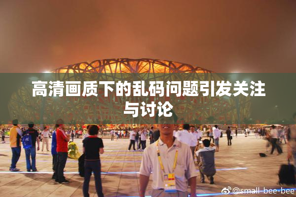 高清画质下的乱码问题引发关注与讨论
