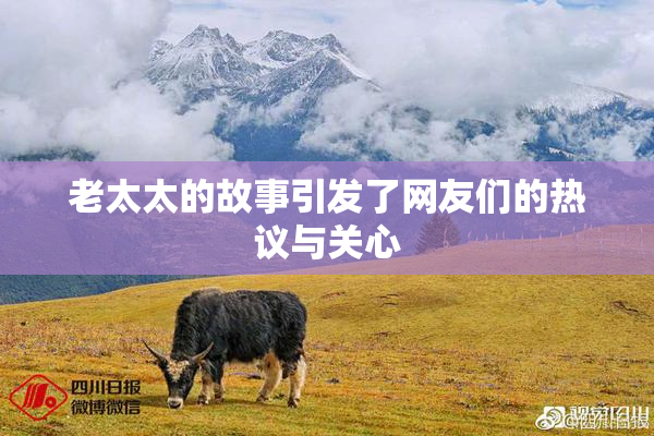 老太太的故事引发了网友们的热议与关心