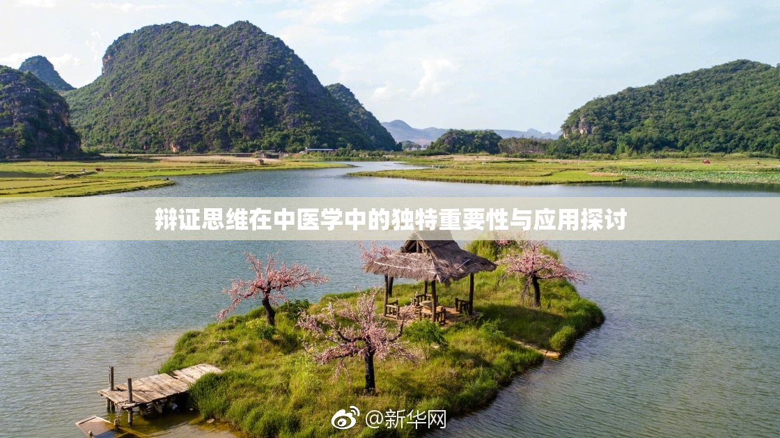 辩证思维在中医学中的独特重要性与应用探讨