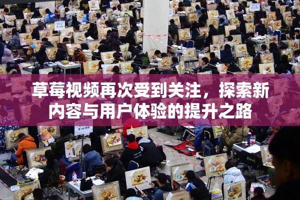 草莓视频再次受到关注，探索新内容与用户体验的提升之路