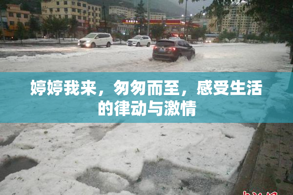 婷婷我来，匆匆而至，感受生活的律动与激情