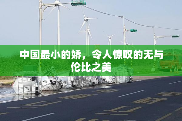 中国最小的娇，令人惊叹的无与伦比之美