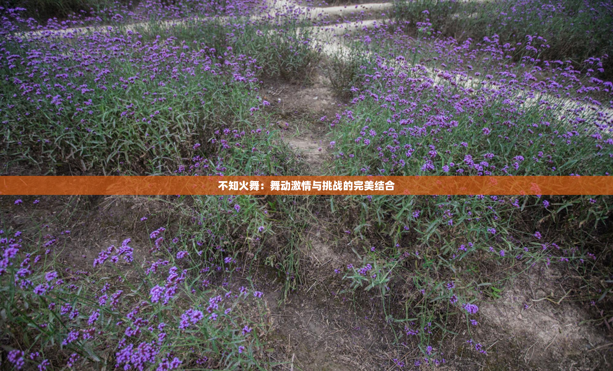不知火舞：舞动激情与挑战的完美结合