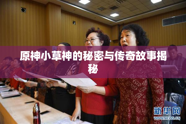 原神小草神的秘密与传奇故事揭秘