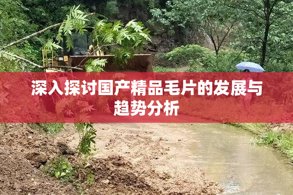 深入探讨国产精品毛片的发展与趋势分析