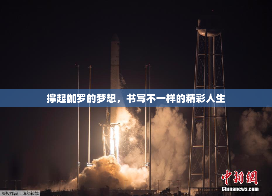 撑起伽罗的梦想，书写不一样的精彩人生