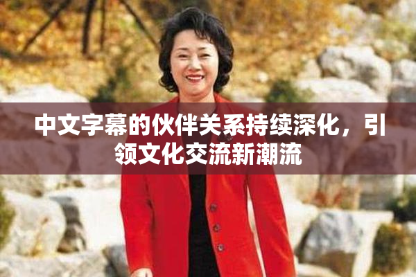 中文字幕的伙伴关系持续深化，引领文化交流新潮流