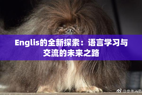 Englis的全新探索：语言学习与交流的未来之路