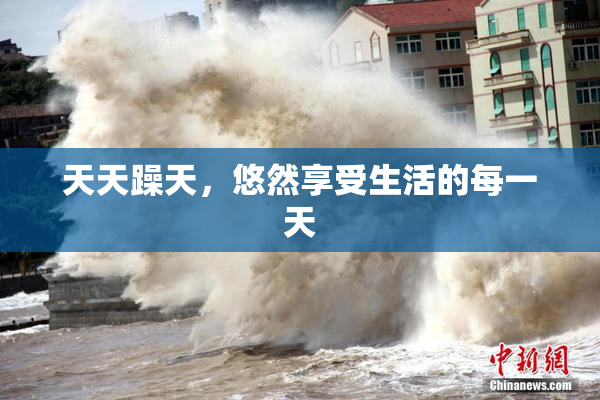 天天躁天，悠然享受生活的每一天