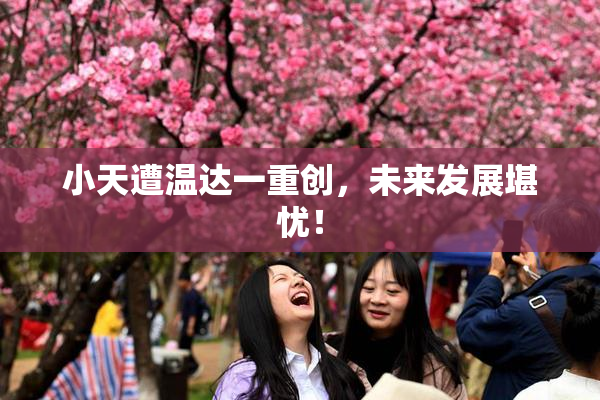 小天遭温达一重创，未来发展堪忧！