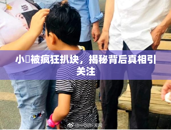 小泬被疯狂扒块，揭秘背后真相引关注