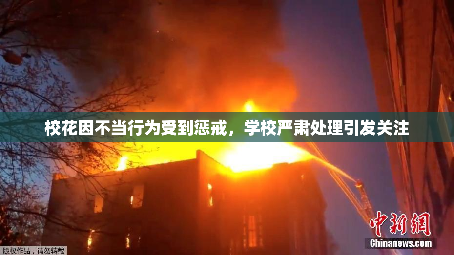 校花因不当行为受到惩戒，学校严肃处理引发关注