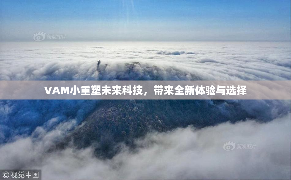 VAM小重塑未来科技，带来全新体验与选择