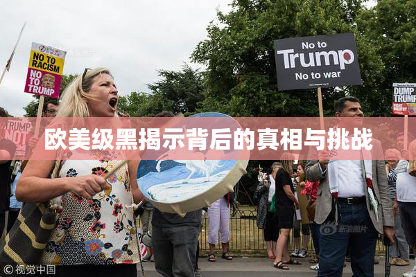欧美级黑揭示背后的真相与挑战