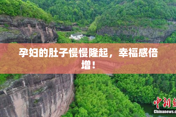 孕妇的肚子慢慢隆起，幸福感倍增！