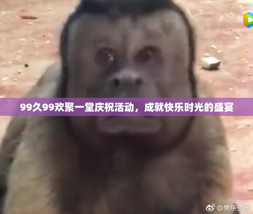 99久99欢聚一堂庆祝活动，成就快乐时光的盛宴