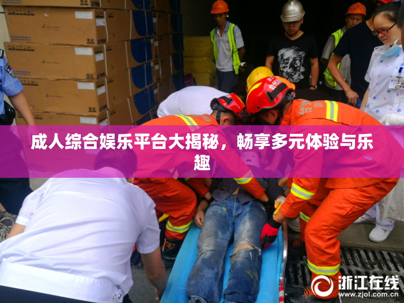 成人综合娱乐平台大揭秘，畅享多元体验与乐趣