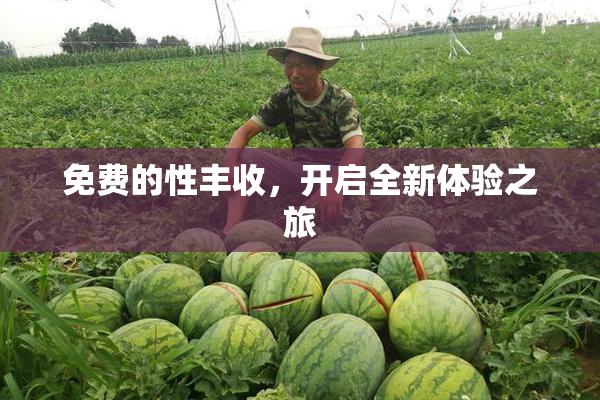 免费的性丰收，开启全新体验之旅