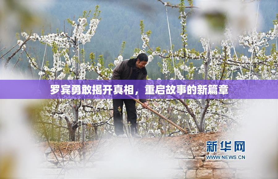 罗宾勇敢揭开真相，重启故事的新篇章