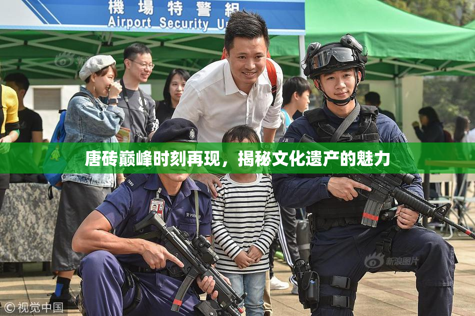 唐砖巅峰时刻再现，揭秘文化遗产的魅力