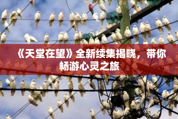 《天堂在望》全新续集揭晓，带你畅游心灵之旅