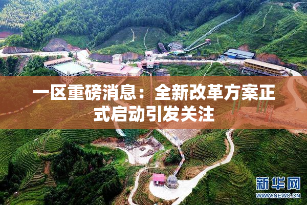 一区重磅消息：全新改革方案正式启动引发关注