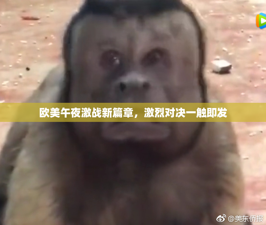 欧美午夜激战新篇章，激烈对决一触即发