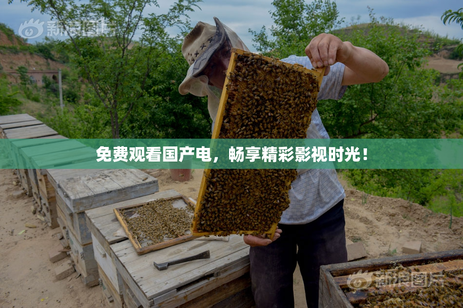 免费观看国产电，畅享精彩影视时光！