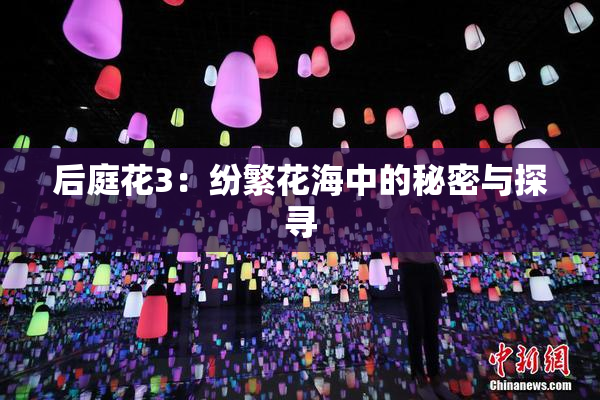 后庭花3：纷繁花海中的秘密与探寻