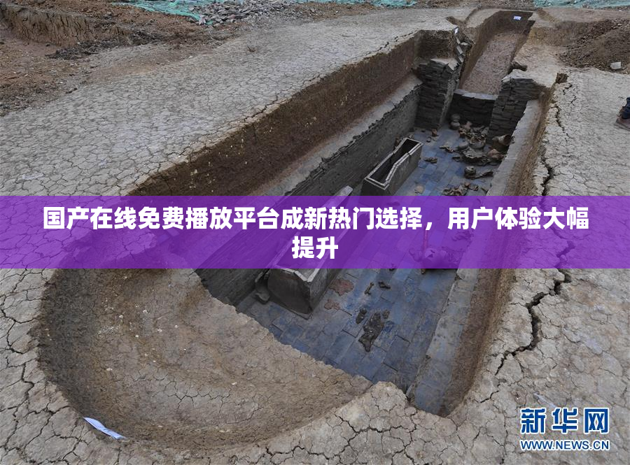 国产在线免费播放平台成新热门选择，用户体验大幅提升