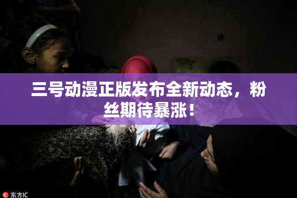三号动漫正版发布全新动态，粉丝期待暴涨！