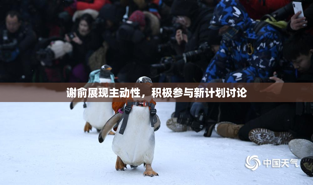谢俞展现主动性，积极参与新计划讨论